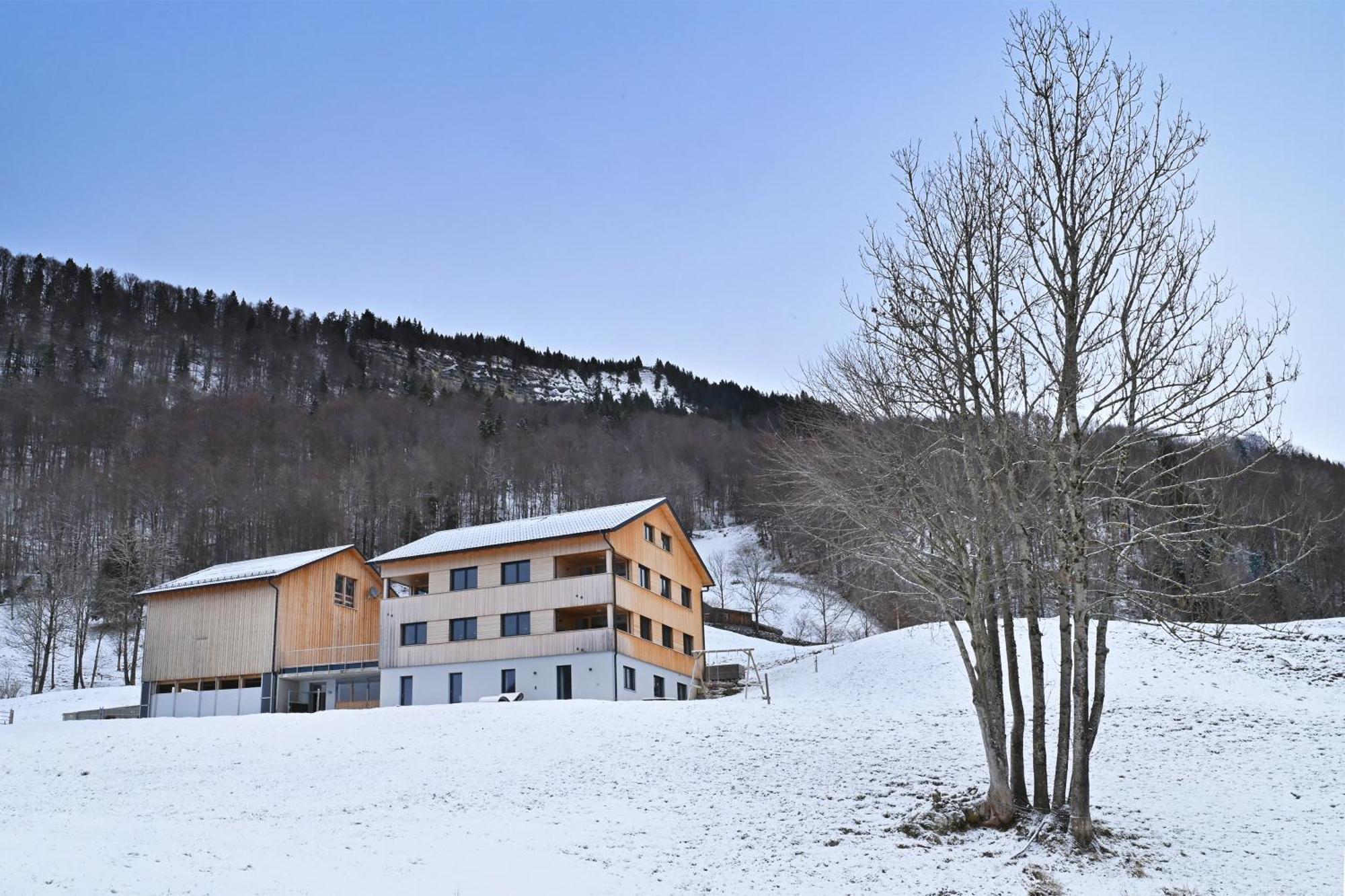 Panoramahof Bergglueck Apartment Mellau Exterior foto